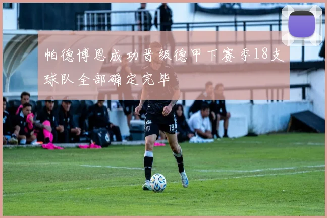 帕德博恩成功晋级德甲下赛季18支球队全部确定完毕