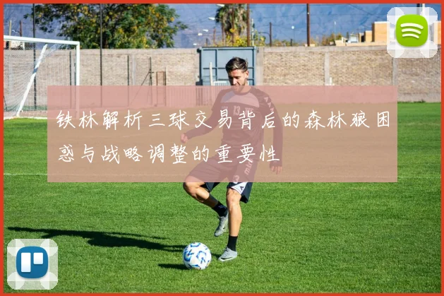 铁林解析三球交易背后的森林狼困惑与战略调整的重要性